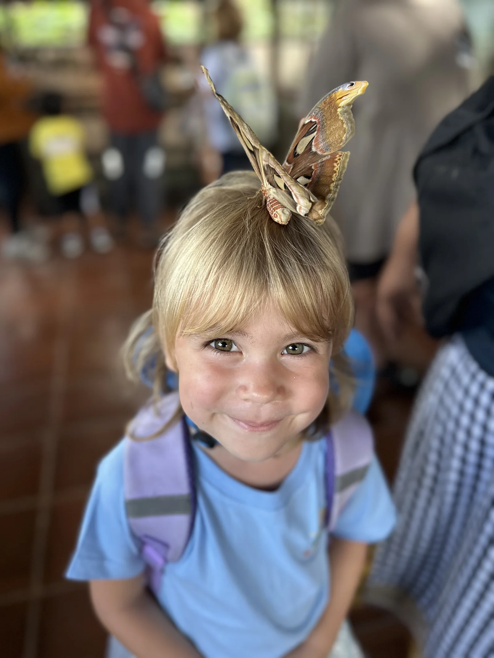 Sunny Kids Moment 40